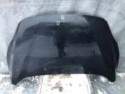 Motorhaube FORD C-MAX II (DXA/CB7, DXA/CEU) 2.0 TDCi