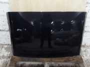 Dach PEUGEOT 307 CC (3B) 2.0 HDi 135