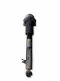 Stoßdämpfer hinten links BMW X6 (E71, E72) xDrive 50 i 14941510