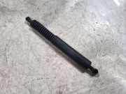 Heckklappe Gasdruckfeder links MERCEDES-BENZ R (W251, V251) R 350 4-matic (251.065, 251.165) A2519800864