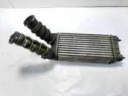 Ladeluftkühler CITROËN C4 II (B7) 1.6 HDi 90 98733T01