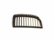 Vorderer oberer Gitter BMW 3 Touring (E91) 320 d 22405910