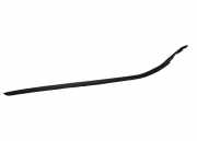 Zierleiste Windschutzscheibe Frontscheibe VOLVO XC60 T5 AWD 32216113