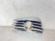 Gitter vorne unten OPEL SIGNUM 1.8 904000011
