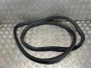 Türgummi links vorne BMW 5er Touring (G31) 7337000