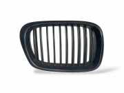 Vorderer oberer Gitter BMW 5 Touring (E39) 530 d