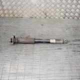 Stoßdämpfer hinten rechts BMW Z4 Roadster (E89) sDrive 18 i 6796441