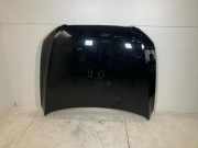 Motorhaube AUDI Q5 (8R) 3.0 TDI quattro 8R0823029