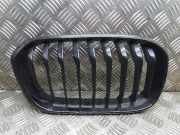 Gitter Grill vorne rechts BMW 1 (F20) M 140 i 7371686 7371688