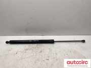 Heckklappendämpfer rechts Peugeot Expert III Kasten (V) 1615082180