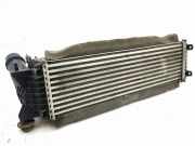 Ladeluftkühler NISSAN NP300 NAVARA Pick-up (D23) 2.3 dCi 4x4 (D231) EH940003