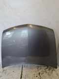 Motorhaube RENAULT VEL SATIS (BJ0_) 2.2 dCi (BJ0E, BJ0F)