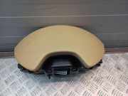 Armaturenbrett Verkleidung