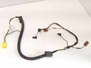 Kabelbaum Peugeot Expert III Kasten (V) 1478354080