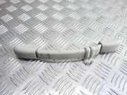 Dachgriff hinten rechts