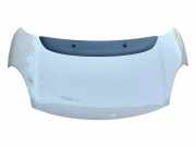 Motorhaube FIAT 500L (351_, 352_) 1.3 D Multijet