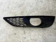 Blende Nebelscheinwerfer Audi Q7 (4L) 4L0807675C