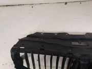 Kühlergrill oben BMW 7er (G11, G12) 8071190