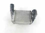 Ladeluftkühler AUDI A4 (8D2, B5) 2.5 TDI 059145806