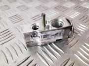 A/C Conditioner Expansion Valve MERCEDES-BENZ R (W251, V251) R 320 CDI 4-matic (251.022, 251.122) A1648300084