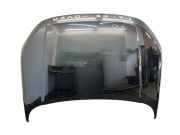 Motorhaube LAND ROVER RANGE ROVER EVOQUE Cabrio (L538) 2.0 D 4x4