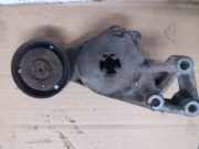 Gurtstraffer VW New Beetle (9C)