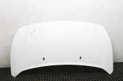 Motorhaube Ford Transit Connect V408 Kasten ()