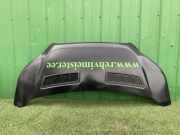 Motorhaube Ford Transit V363 Kasten (FCD, FDD) PBK31A16612AG