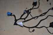 Kabelbaum Citroen C4 II Picasso () XS2464806060