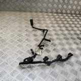 Kabelbaum LAND ROVER RANGE ROVER IV (L405) 4.4 D V8 4x4 6H4Q-14C000-BB