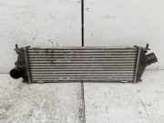 Ladeluftkühler RENAULT TRAFIC II Furgon (FL) 2.0 dCi 115 (FL01, FL0U) 8200411160C