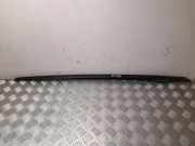 Vertikale Verkleidung an der vorderen linken Tür TOYOTA PRIUS (_W5_) 1.8 Hybrid 7553647020