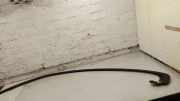 Dachleiste links BMW 6 Gran Coupe (F06) 640 d 7275303