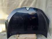 Motorhaube RENAULT MEGANE II (BM0/1_, CM0/1_) 1.5 dCi (BM0F, CM0F)