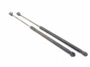 Heckklappe Gasdruckfeder links MERCEDES-BENZ A (W169) A 200 CDI (169.308) A1697400345