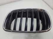 Vorderer oberer Gitter BMW X5 (E70) xDrive 30 d 7171395