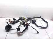Kabel der vorderen linken Tür KIA CARENS III (UN) 2.0 CVVT 916001D070 919811D020
