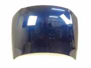 Motorhaube VW Passat B6 (3C2)