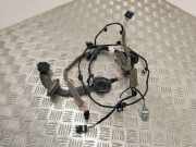 Kabel Tür Renault Espace V (JR) 241241104R