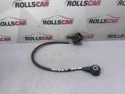 Klopfsensor FORD KUGA II (DM2) 1.5 EcoBoost 98MF12A699BA