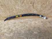 Dach SRS rechts PEUGEOT 607 (9D, 9U) 2.7 HDi 24V 965660738000