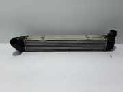 Ladeluftkühler Renault Megane Scenic (JA) 144960023R