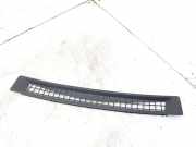 Gitter RENAULT KOLEOS I (HY_) 2.0 dCi 4x4 (HY0K) 68745JY00A