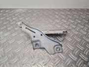 Motorhaubenscharnier links VW Passat B7 Alltrack (36, B7) 3G0823301