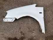 Kotflügel vorne links VW CADDY III Furgon (2KA, 2KH, 2CA, 2CH) 1.9 TDI