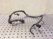 Kabelbaum FORD FOCUS IV (HN) 1.0 EcoBoost DM5T3C221