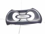 Geschwindigkeitsmesserverkleidung