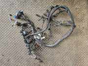 Motor Kabelbaum VW TIGUAN (CT1) 2.0 TDI 617001105