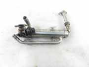 Abgaskühler Seat Leon (1P)