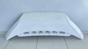 Motorhaube FIAT DUCATO Furgon (250_, 290_) 150 Multijet 2,3 D 50158078 1374198080